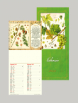 Calendario illustrato art. 904 Giove Erbario cm 21,5x49