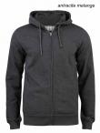 Felpa con cappuccio Premium OC Hoody Clique